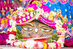Daily Darshan