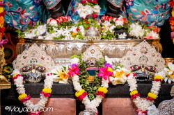 Daily Darshan