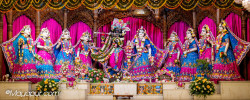 Daily Darshan