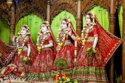 Daily Darshan