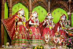 Daily Darshan
