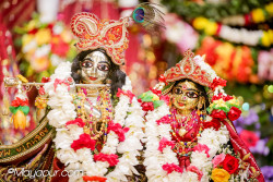 Daily Darshan