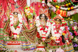 Daily Darshan