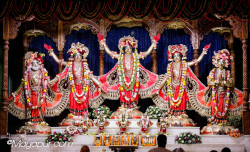 Daily Darshan