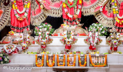 Daily Darshan