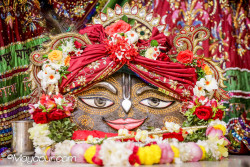 Daily Darshan