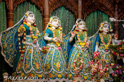 Daily Darshan