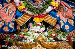 Daily Darshan