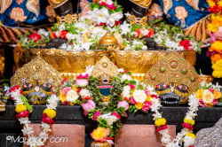 Daily Darshan