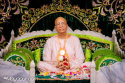 Daily Darshan