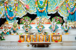 Daily Darshan