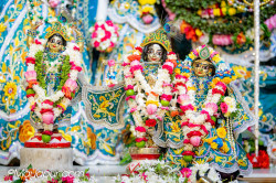 Daily Darshan
