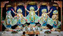 Daily Darshan