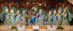 Daily Darshan