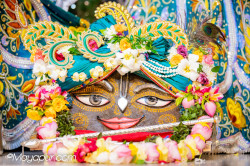 Daily Darshan