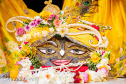 Daily Darshan