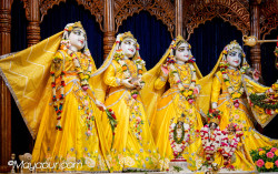 Daily Darshan