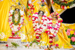 Daily Darshan