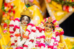 Daily Darshan