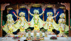 Daily Darshan