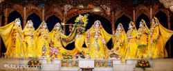 Daily Darshan