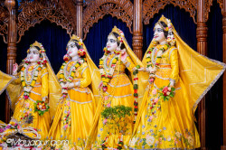Daily Darshan