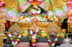 Daily Darshan