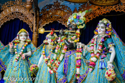 Daily Darshan