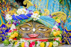 Daily Darshan