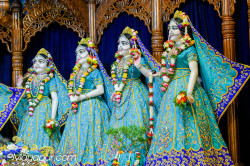 Daily Darshan