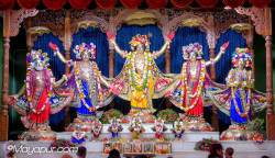 Daily Darshan