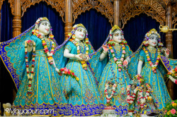 Daily Darshan