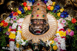 Daily Darshan