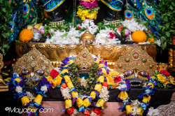 Daily Darshan