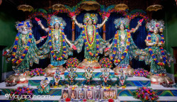 Daily Darshan