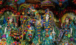 Daily Darshan