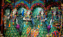 Daily Darshan