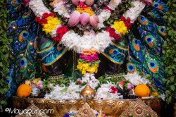 Daily Darshan