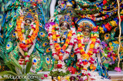 Daily Darshan