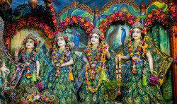 Daily Darshan