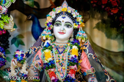 Daily Darshan