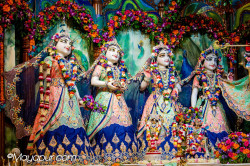 Daily Darshan