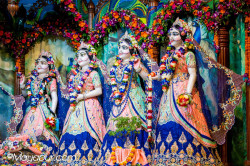 Daily Darshan