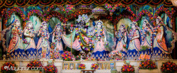Daily Darshan