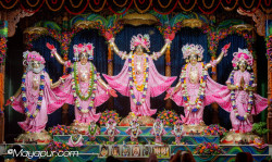 Daily Darshan