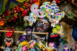 Daily Darshan
