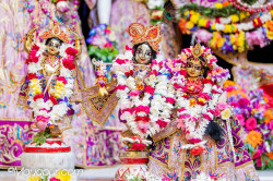Daily Darshan