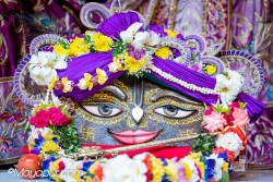 Daily Darshan