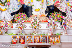 Daily Darshan