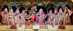 Daily Darshan